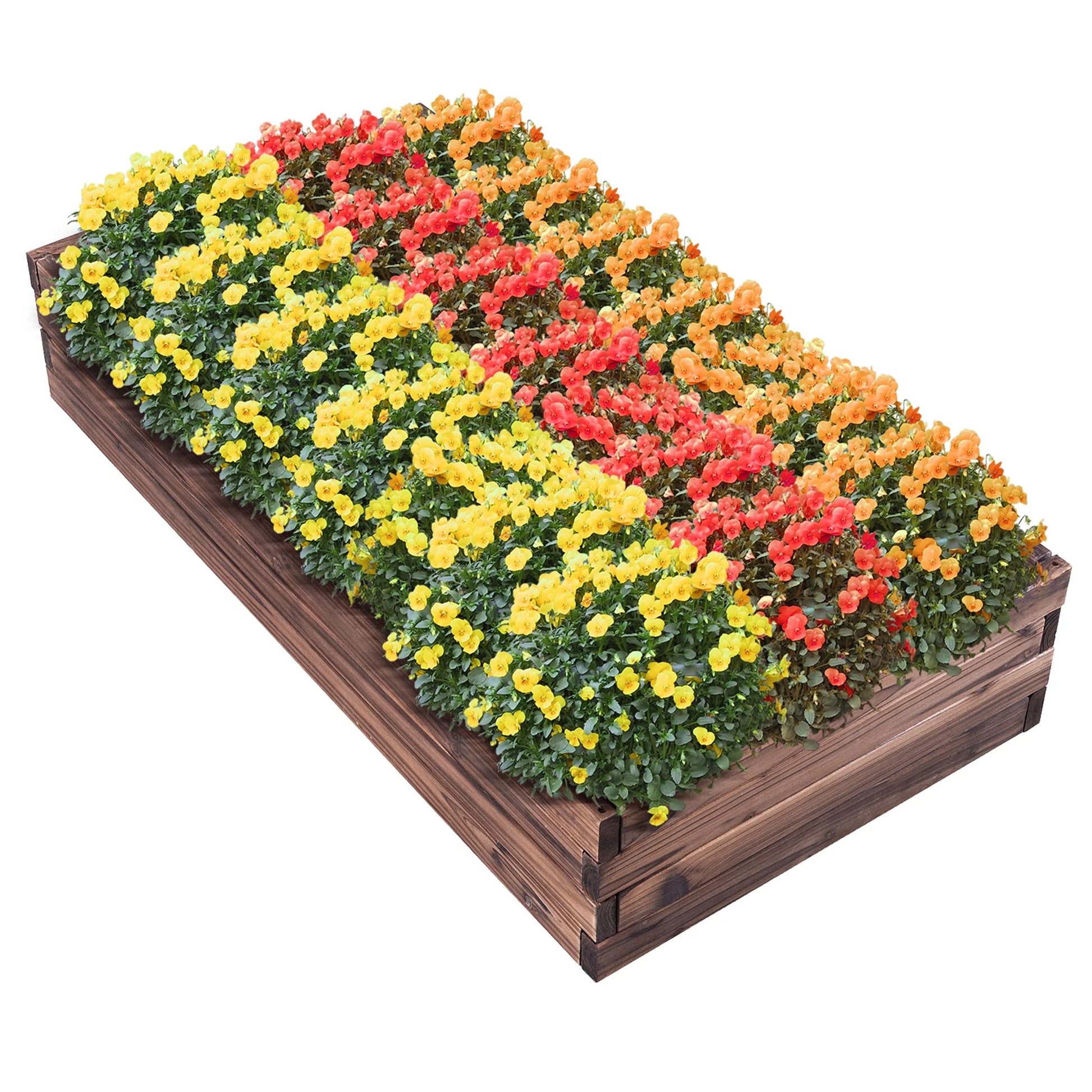 Wooden Raised Garden Bed Kit - Elevated Planter Box for Growing Herbs Vegetable