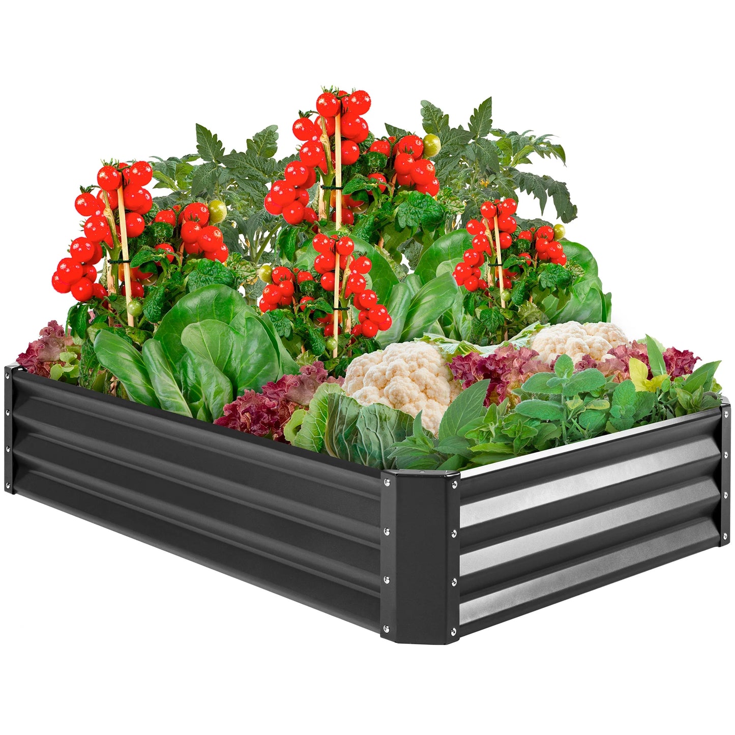 6X3X1Ft Outdoor Metal Raised Garden Bed for Vegetables, Flowers, Herbs, Plants - Dark Gray