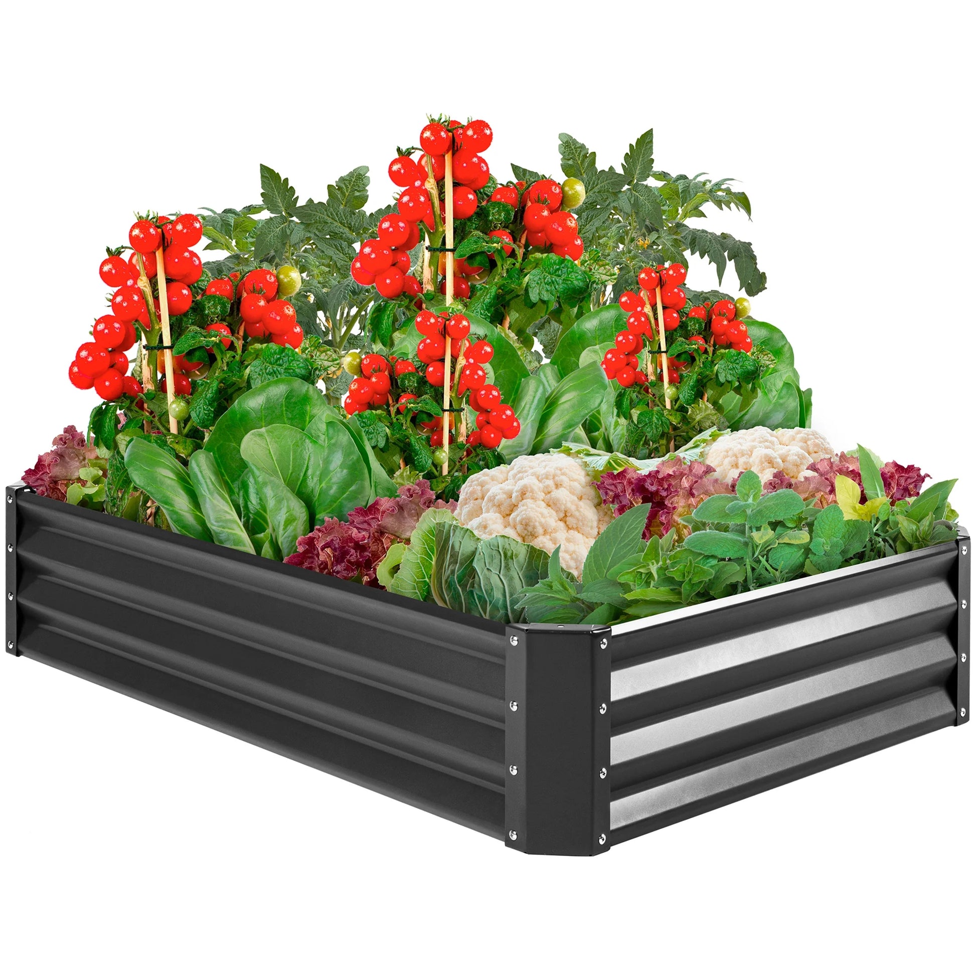 6X3X1Ft Outdoor Metal Raised Garden Bed for Vegetables, Flowers, Herbs, Plants - Dark Gray