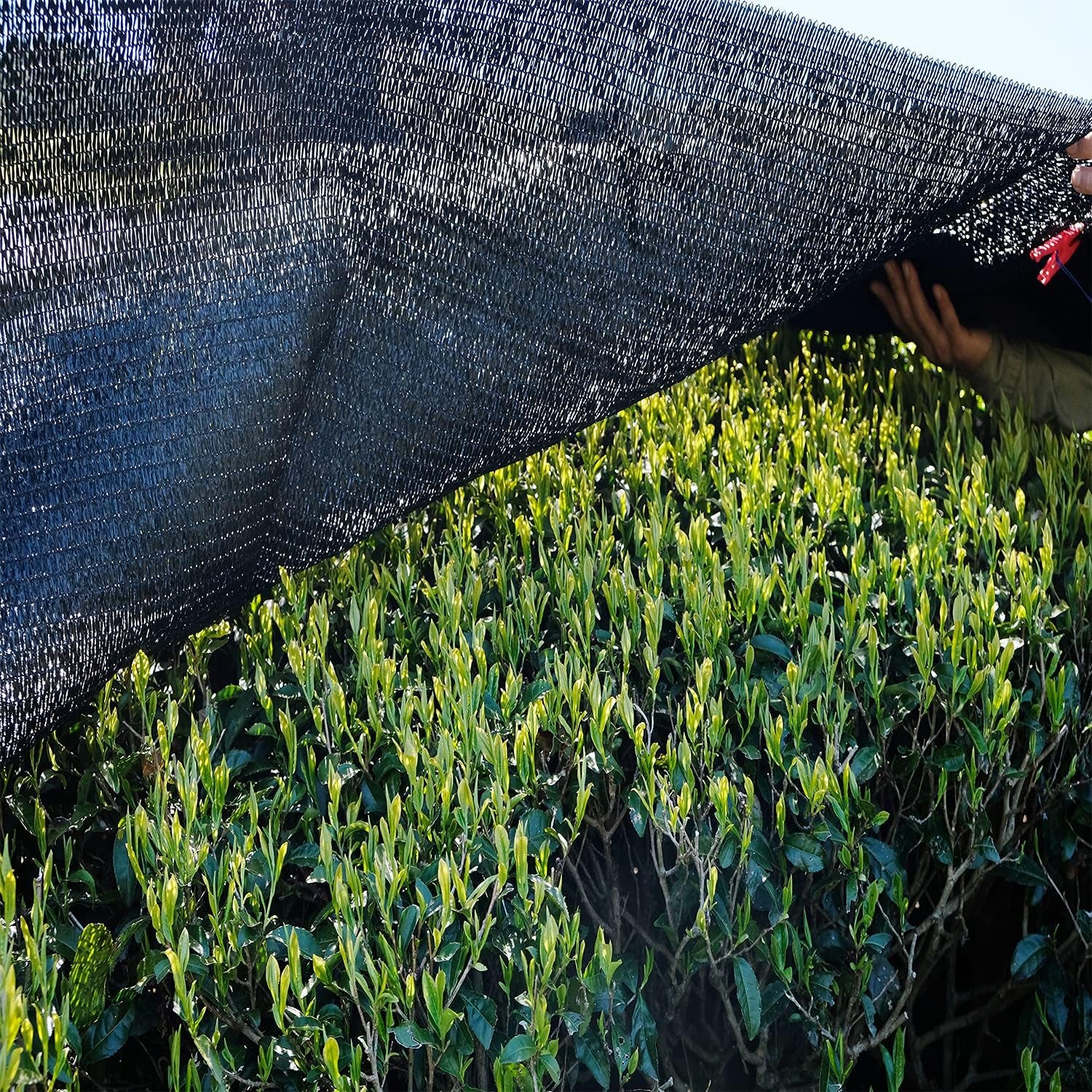 40% Shade Cloth Sun Net, Sunblock Garden Shade Mesh Fabric for Garden Flower, Patio, Plant Cover, Greenhouse, 10X20Ft, Black