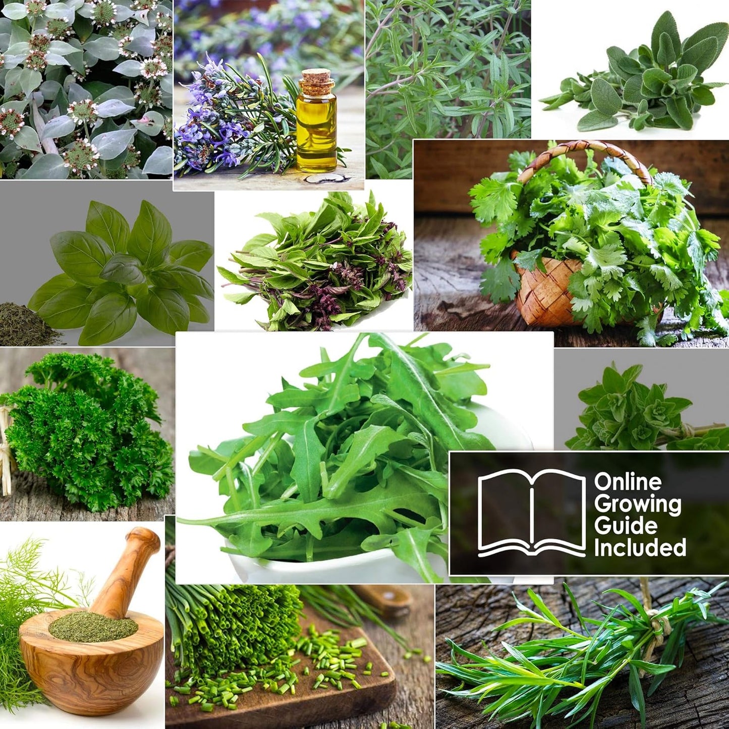12 Italian Herb Seeds Pack - Heirloom and Non GMO, Grown in USA - Indoor or Outdoor Garden - Four Basil Varieties and Parsley, Cilantro, Rosemary, Thyme, Oregano, Marjoram, Sage, Arugula