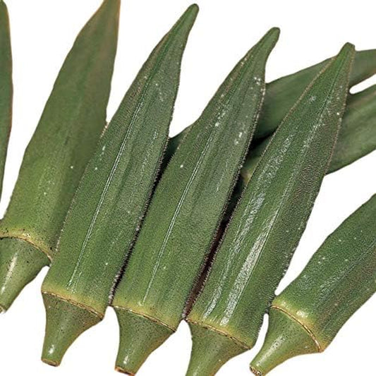 Jambalaya Okra Seeds, Includes 30 Seeds in a Pack