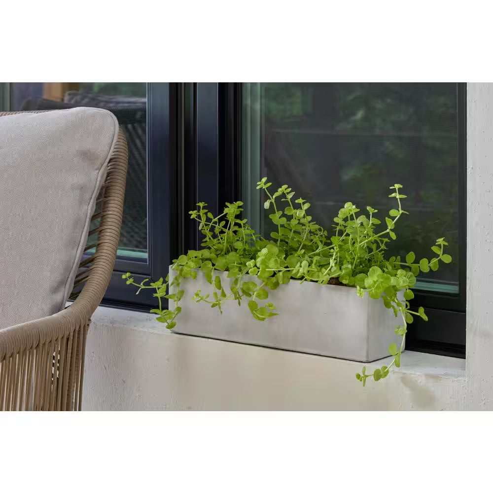 12.3 In. Trio Medium Concrete Gray Concrete Planter (3.6 In. L X 12.3 In. W X 3.5 In. H)