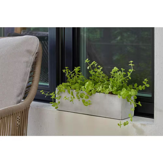 12.3 In. Trio Medium Concrete Gray Concrete Planter (3.6 In. L X 12.3 In. W X 3.5 In. H)