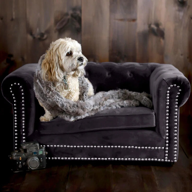 Bria Polyester Pet Bed