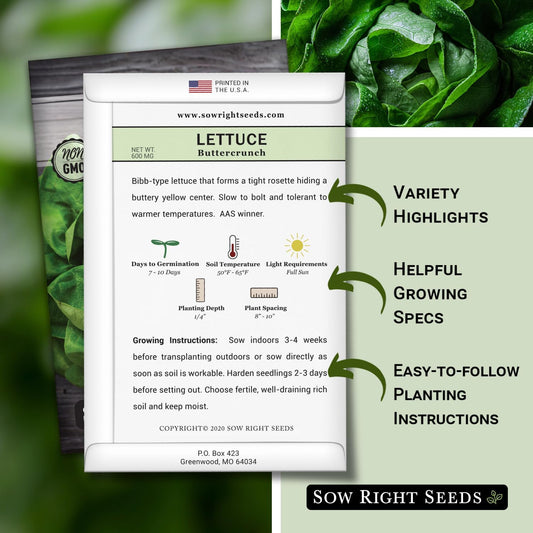 - Buttercrunch Lettuce Seeds for Planting - Non-Gmo Heirloom Packet with Instructions to Plant a Home Vegetable Garden - Outdoors or Hydroponics Indoors - Heat Tolerant Variety (1)