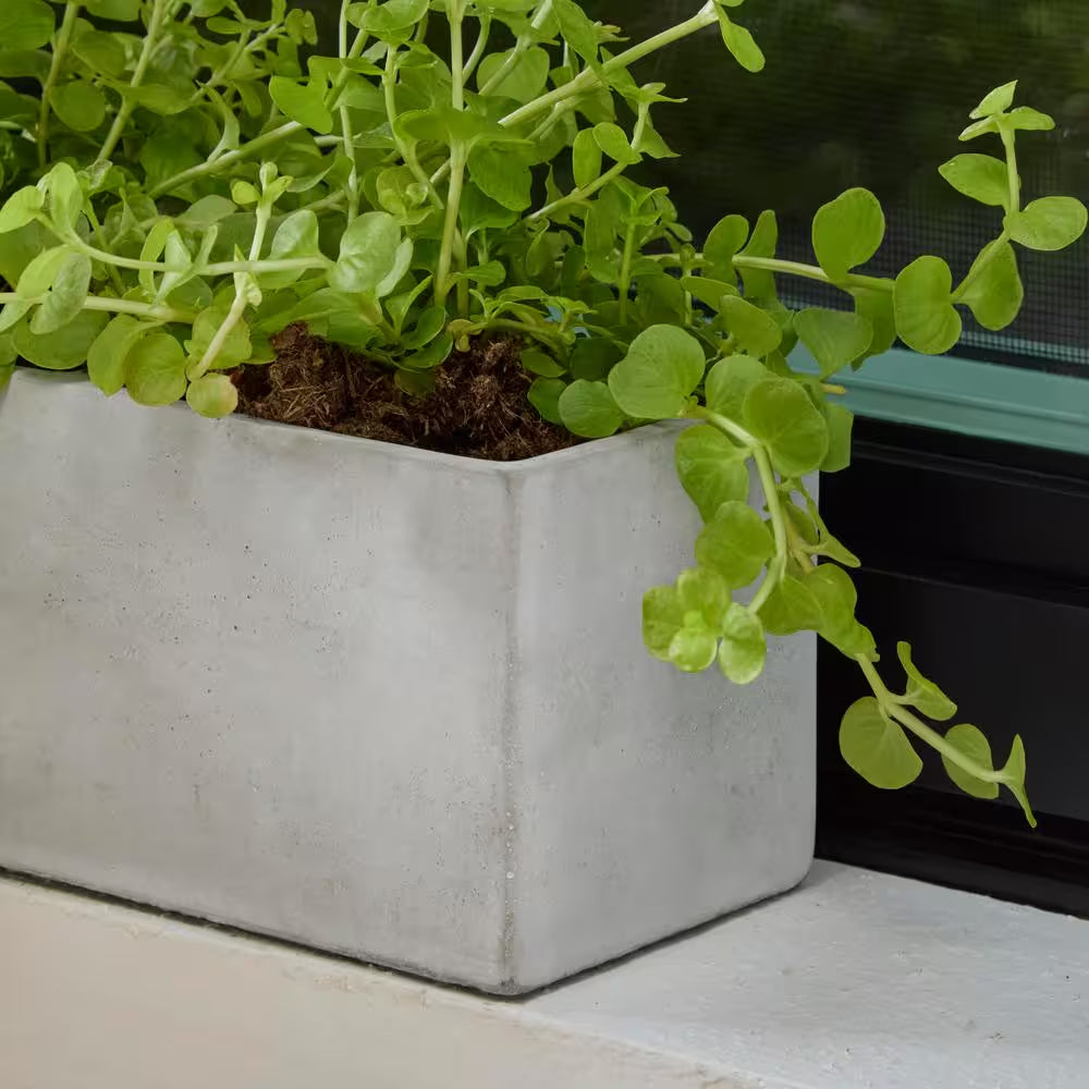 12.3 In. Trio Medium Concrete Gray Concrete Planter (3.6 In. L X 12.3 In. W X 3.5 In. H)