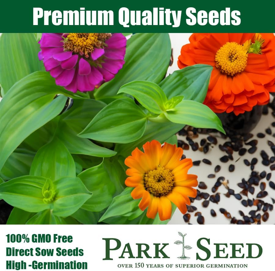 Zinnia Flower Planting Seeds, Easy to Grow, Perfect for Spring Garden, Zahara Starlight Rose, Pack of 25