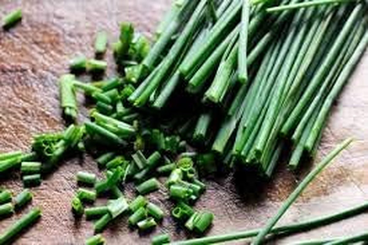 Seeds - Chives Seeds (1000 Seeds) Non-Gmo Seeds with Easy to Follow Planting Instructions - Open-Pollinated Heirloom 88% Germination Rate 1.5G (Single Packet)