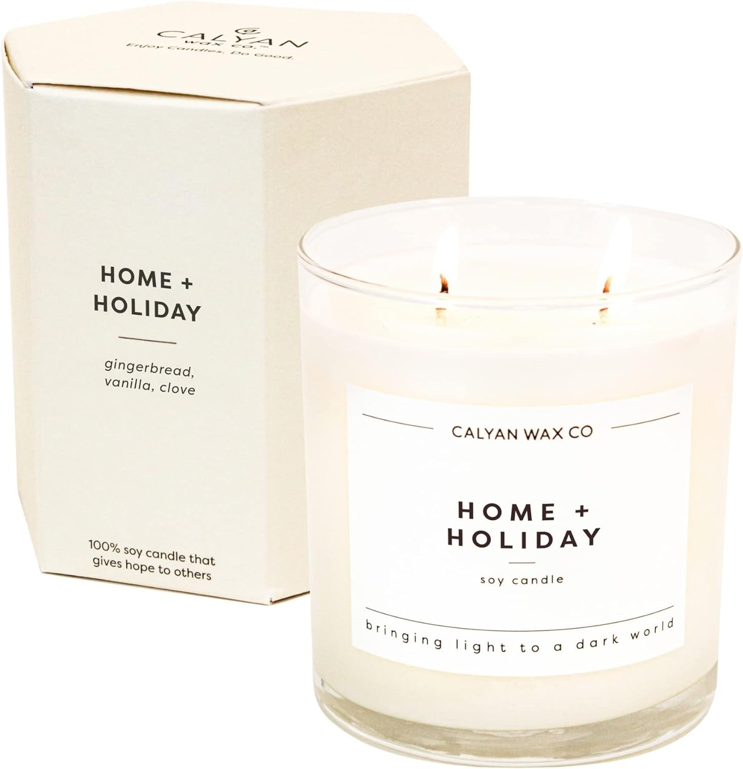 2 Wick Candle, Home + Holiday Scented Candle, 37 Hour Burn Time, Aromatherapy Soy Candles, Non Toxic & Vegan Soy Wax, Glass Tumbler Scented Candles, 8.8Oz