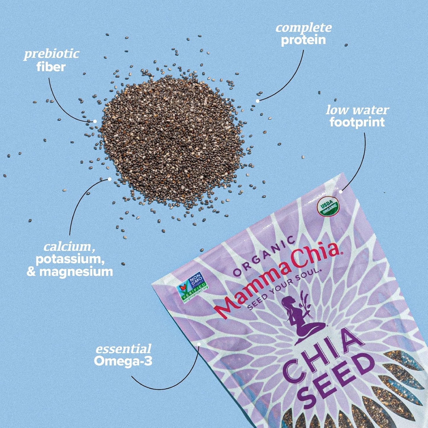 Organic Chia Seeds, Black, 12 Ounce (Pack of 1)