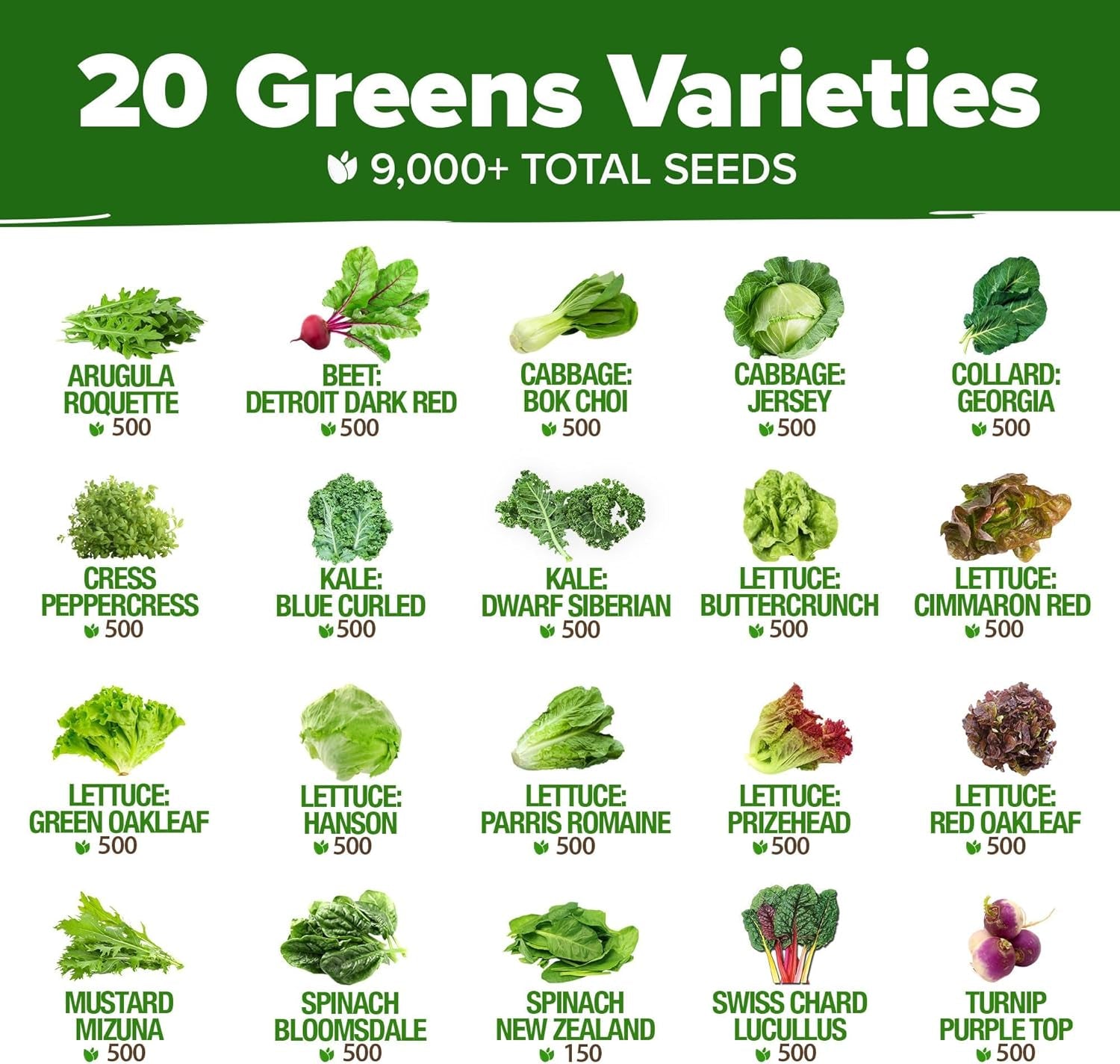 9,000+ Lettuce Seeds – 20 Heirloom Varieties, 𝗡𝗢𝗡-𝗚𝗠𝗢 𝗨𝗦𝗔 – Kale, Spinach, Romaine, Butterhead & More – Indoor or Outdoor Planting, Hydroponic-Ready, High Germination Greens