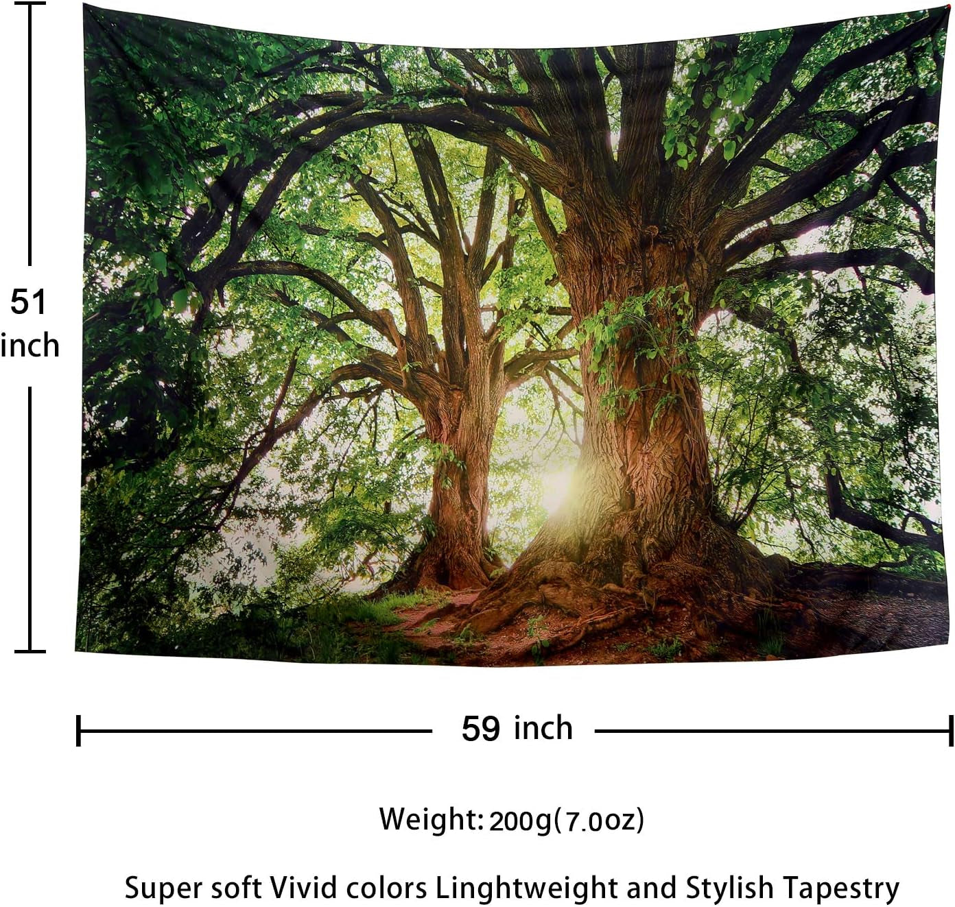 Dark Green Landscape Nature Tapestry Home Decor Large Wall Hanging Tree Tapestry Enchanted Forest Backdrop for Bedroom Living Room Indoor Outdoor Decoration (59''L X 51''W)