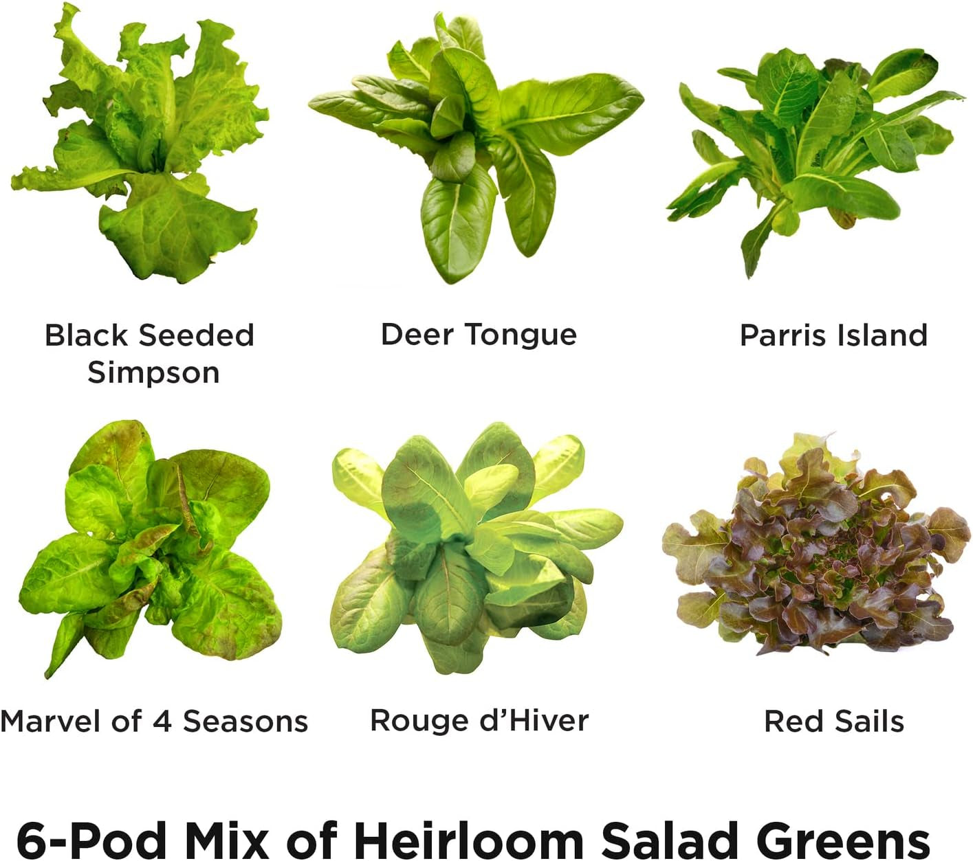 Heirloom Salad Greens Mix Seed Pod Kit with Pre-Seeded Grow Pods, Liquid Plant Food, and Growing Guide, 6-Pod