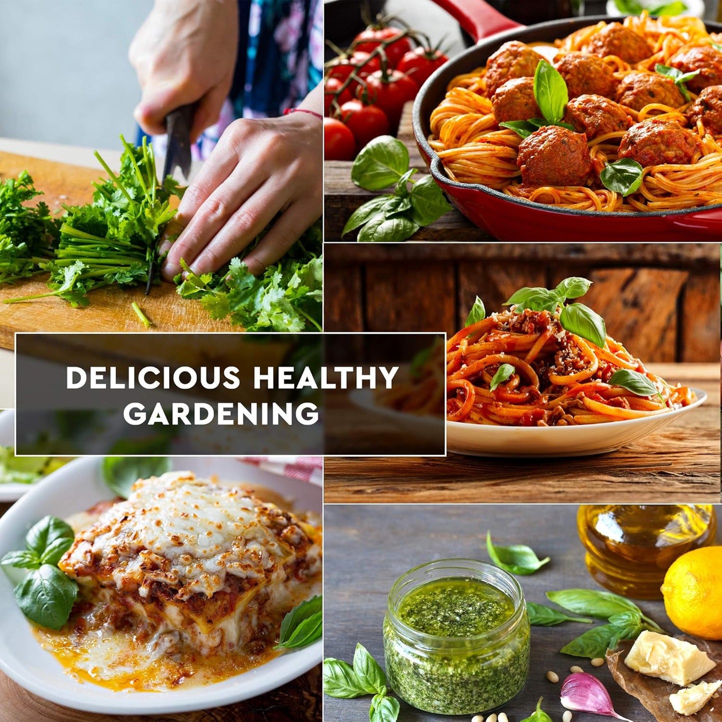 12 Italian Herb Seeds Pack - Heirloom and Non GMO, Grown in USA - Indoor or Outdoor Garden - Four Basil Varieties and Parsley, Cilantro, Rosemary, Thyme, Oregano, Marjoram, Sage, Arugula