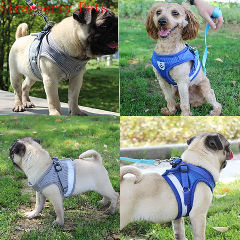 Mesh Reflective Pet Dog Collar Leash Dog Harness Leash Set for Small Medium Large Dogs Nylon Puppy Dogs Cats Harness Leash Nice