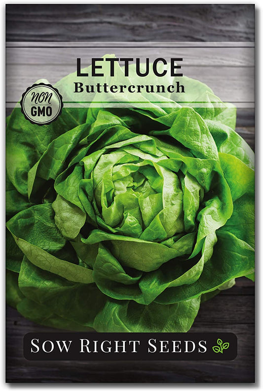 - Buttercrunch Lettuce Seeds for Planting - Non-Gmo Heirloom Packet with Instructions to Plant a Home Vegetable Garden - Outdoors or Hydroponics Indoors - Heat Tolerant Variety (1)