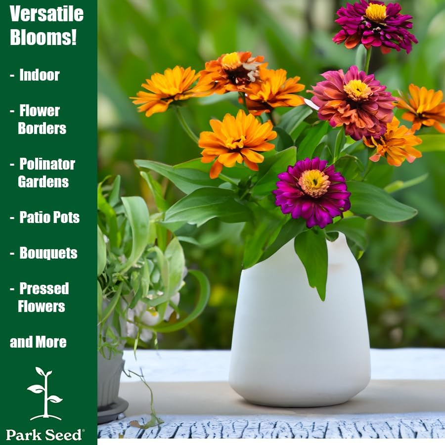 Zinnia Flower Planting Seeds, Easy to Grow, Perfect for Spring Garden, Zahara Starlight Rose, Pack of 25
