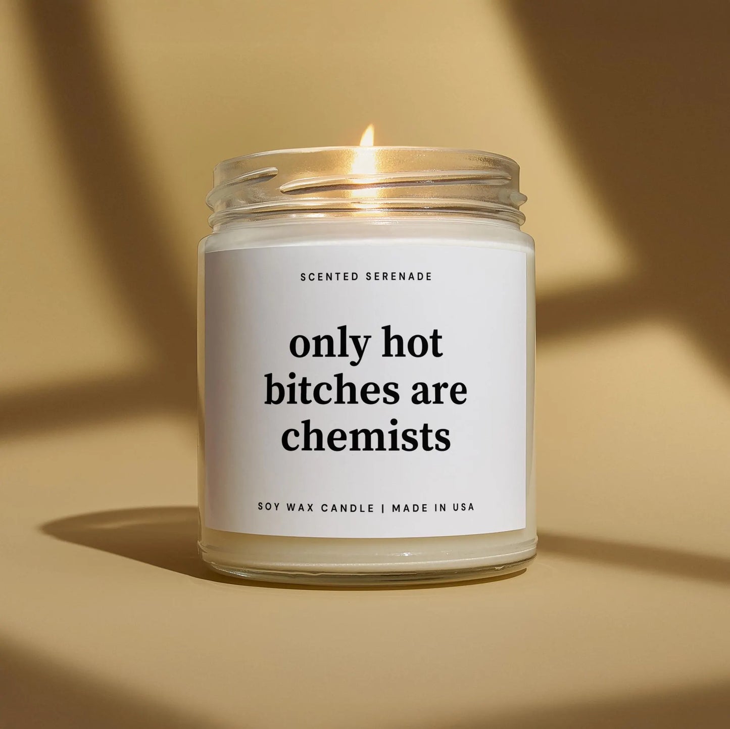 Hot Bitches Are Chemists Candle, Gift for Chemists, Chemists Gift, Chemistry Teacher, Chemistry Gift