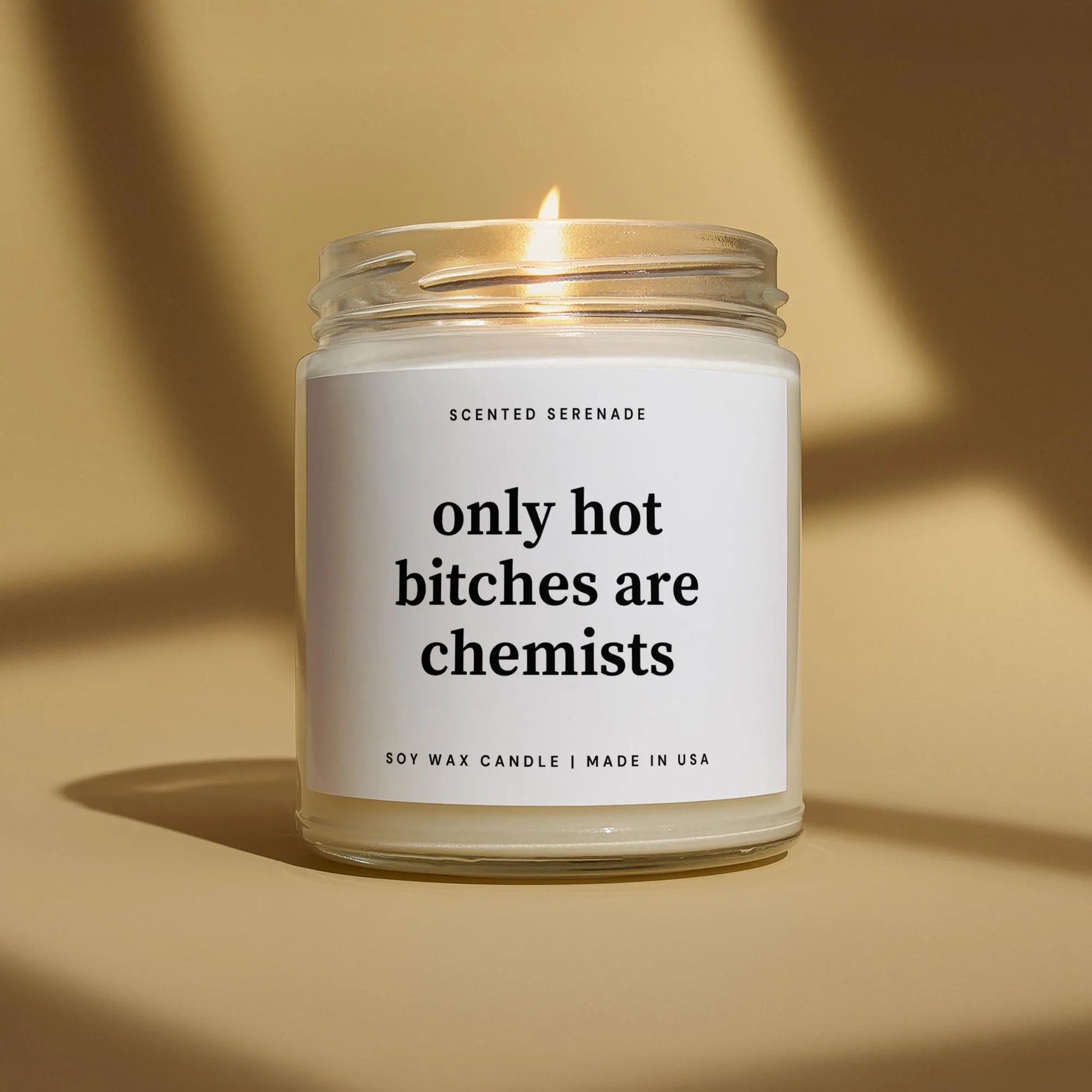 Hot Bitches Are Chemists Candle, Gift for Chemists, Chemists Gift, Chemistry Teacher, Chemistry Gift