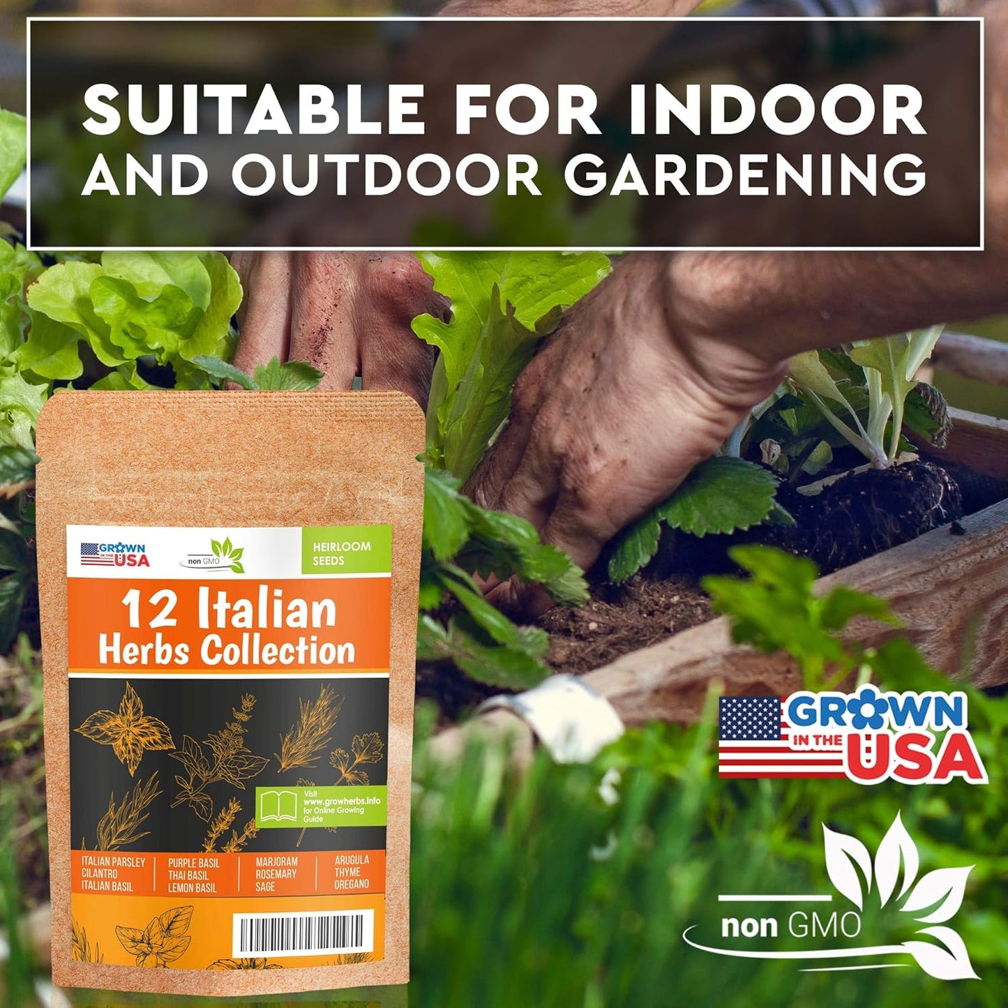 12 Italian Herb Seeds Pack - Heirloom and Non GMO, Grown in USA - Indoor or Outdoor Garden - Four Basil Varieties and Parsley, Cilantro, Rosemary, Thyme, Oregano, Marjoram, Sage, Arugula