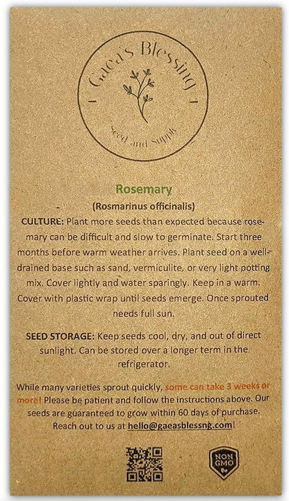 Seeds - Rosemary Seeds - Heirloom Non-Gmo Seeds with Easy to Follow Instructions 97% Germination Rate (Single Pack)