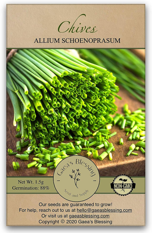 Seeds - Chives Seeds (1000 Seeds) Non-Gmo Seeds with Easy to Follow Planting Instructions - Open-Pollinated Heirloom 88% Germination Rate 1.5G (Single Packet)