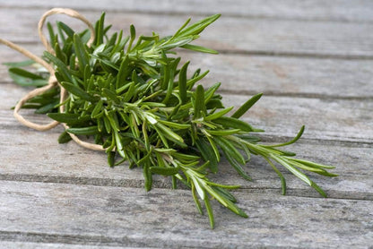 Seeds - Rosemary Seeds - Heirloom Non-Gmo Seeds with Easy to Follow Instructions 97% Germination Rate (Single Pack)