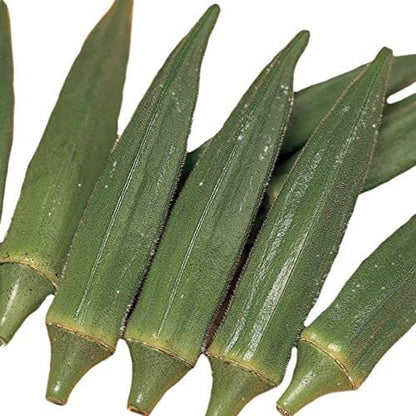 Jambalaya Okra Seeds, Includes 30 Seeds in a Pack