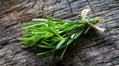 Seeds - Rosemary Seeds - Heirloom Non-Gmo Seeds with Easy to Follow Instructions 97% Germination Rate (Single Pack)
