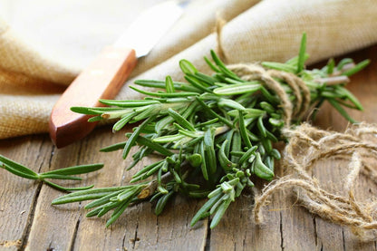 Seeds - Rosemary Seeds - Heirloom Non-Gmo Seeds with Easy to Follow Instructions 97% Germination Rate (Single Pack)