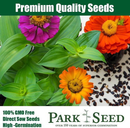 Zinnia Flower Planting Seeds, Easy to Grow, Perfect for Spring Garden, Zahara Starlight Rose, Pack of 25