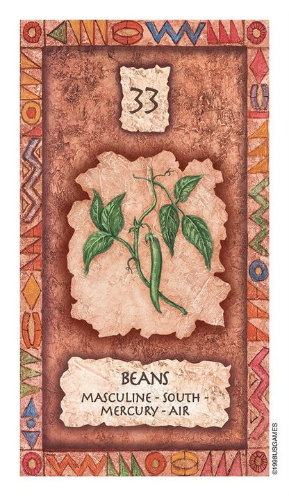 Shaman Wisdom Cards -- Tarot Cards: 65-Card Deck, (Hardcover)