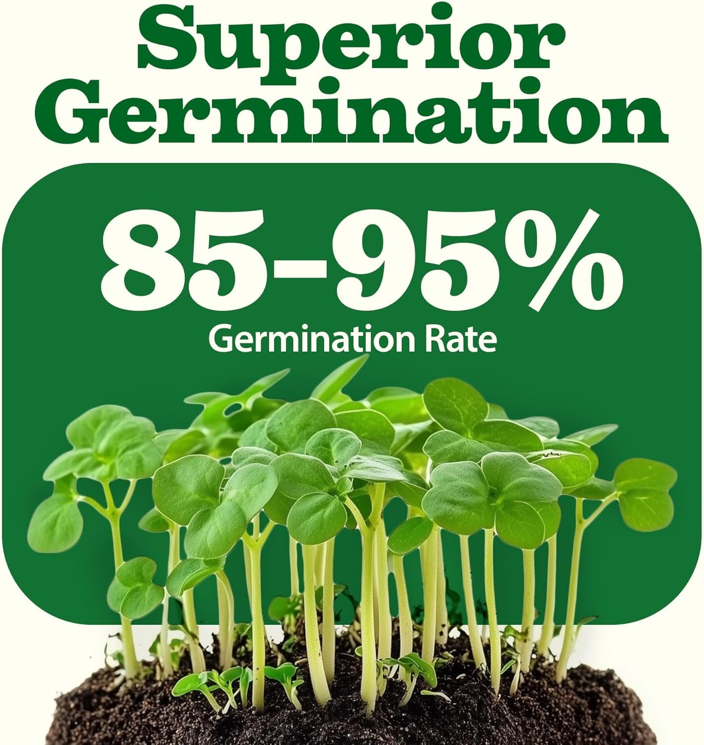 𝗨𝗦𝗔 𝗣𝗥𝗘𝗠𝗜𝗨𝗠 55 Vegetable Seeds Pack 28,000+ Non-Gmo Heirloom Seeds for Planting, Spring Fall Winter Garden Kit, Survival Seed Vault for Preppers & Gardeners, Gift for Men & Women