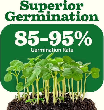 𝗨𝗦𝗔 𝗣𝗥𝗘𝗠𝗜𝗨𝗠 55 Vegetable Seeds Pack 28,000+ Non-Gmo Heirloom Seeds for Planting, Spring Fall Winter Garden Kit, Survival Seed Vault for Preppers & Gardeners, Gift for Men & Women