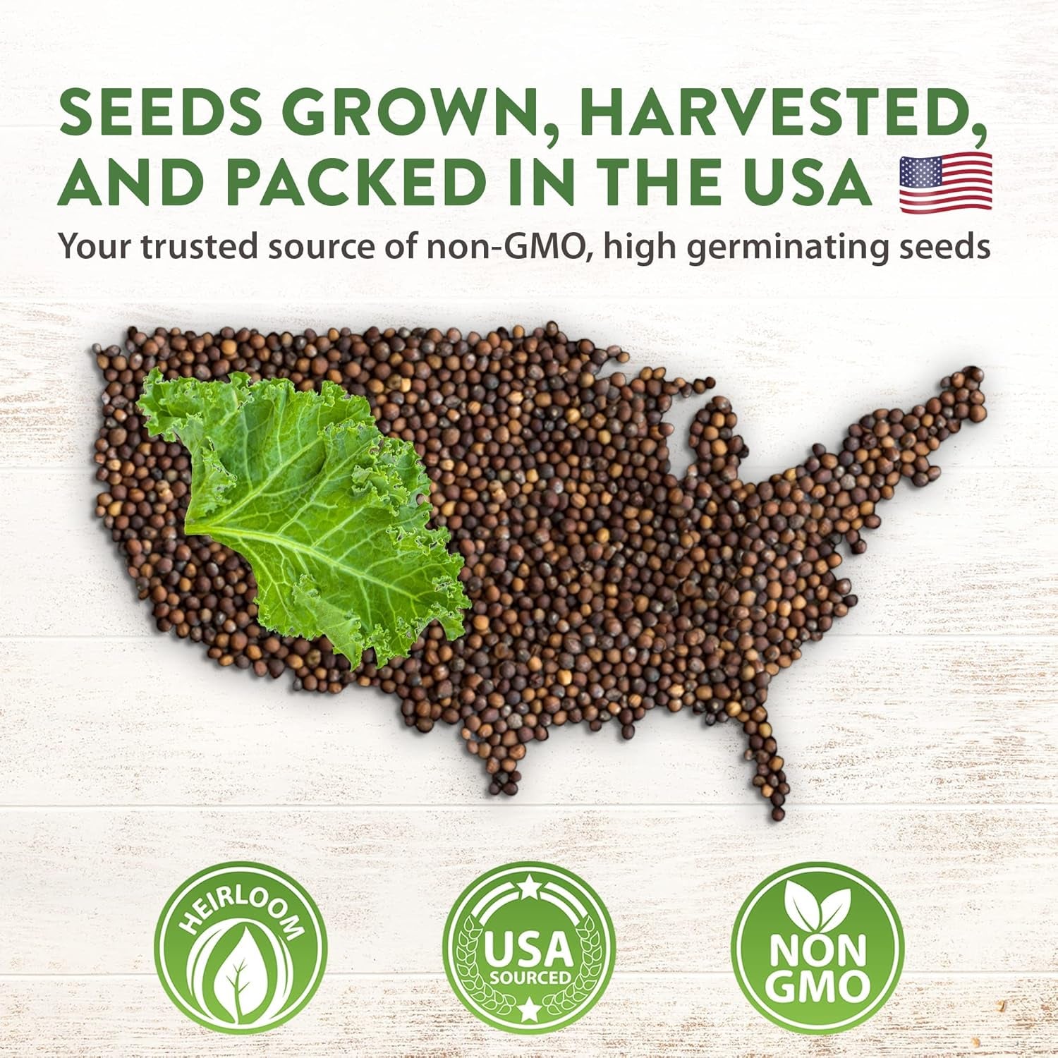 9,000+ Lettuce Seeds – 20 Heirloom Varieties, 𝗡𝗢𝗡-𝗚𝗠𝗢 𝗨𝗦𝗔 – Kale, Spinach, Romaine, Butterhead & More – Indoor or Outdoor Planting, Hydroponic-Ready, High Germination Greens
