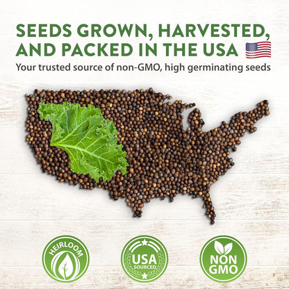 9,000+ Lettuce Seeds – 20 Heirloom Varieties, 𝗡𝗢𝗡-𝗚𝗠𝗢 𝗨𝗦𝗔 – Kale, Spinach, Romaine, Butterhead & More – Indoor or Outdoor Planting, Hydroponic-Ready, High Germination Greens