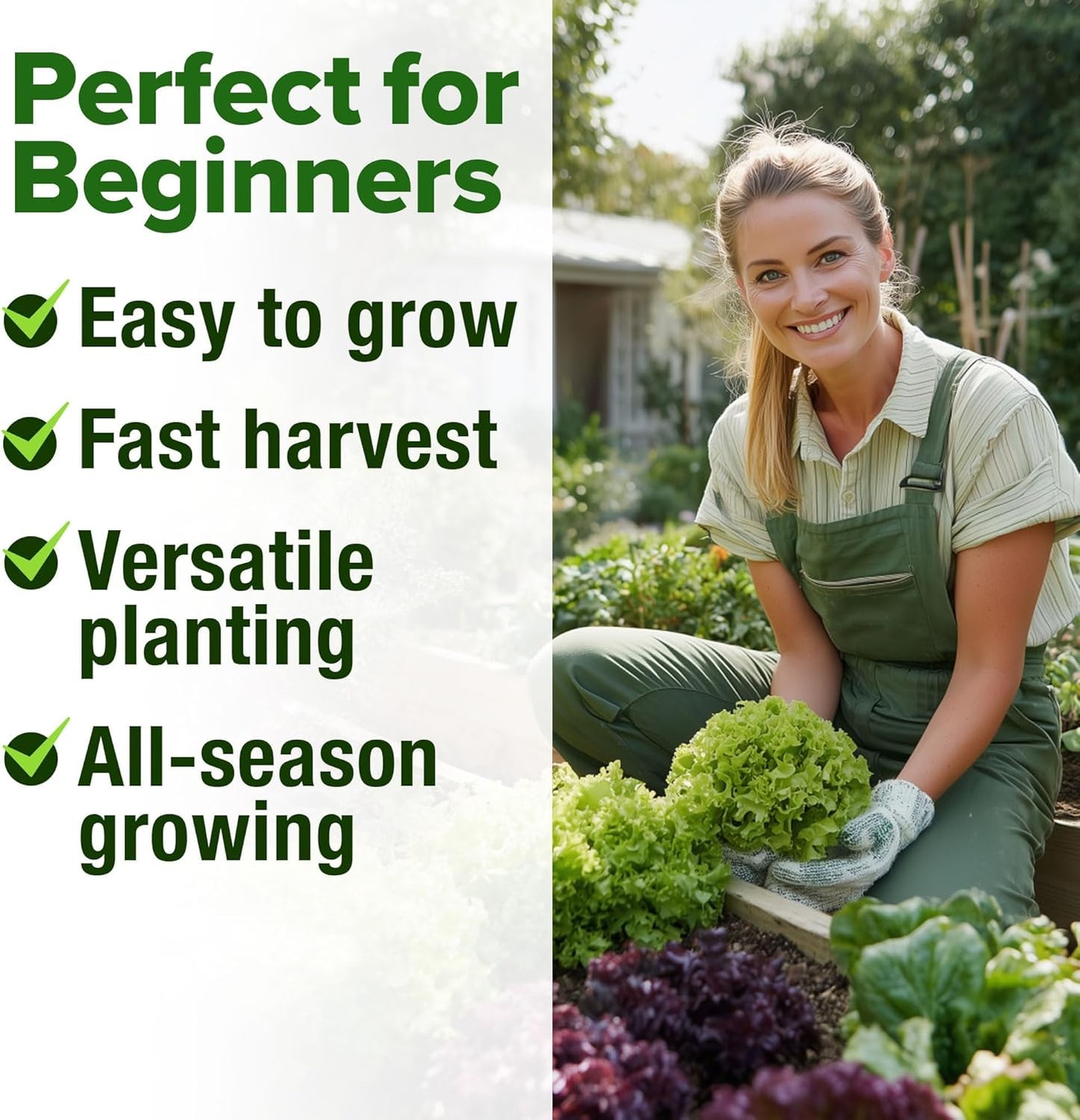 9,000+ Lettuce Seeds – 20 Heirloom Varieties, 𝗡𝗢𝗡-𝗚𝗠𝗢 𝗨𝗦𝗔 – Kale, Spinach, Romaine, Butterhead & More – Indoor or Outdoor Planting, Hydroponic-Ready, High Germination Greens
